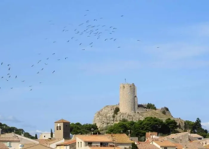 Lejlighed Perle Mediterraneenne Au Coeur Du Port De Gruissan Gruissan